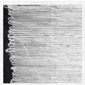 14015_10203246648707914_6512622676067097028_n